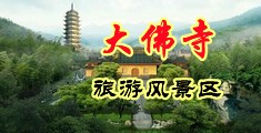 双飞村妇中国浙江-新昌大佛寺旅游风景区